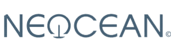 Vincent Dufour, Neocean